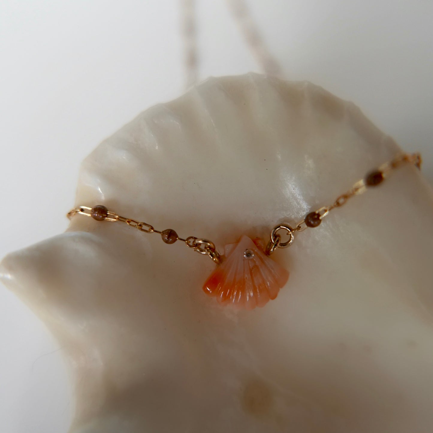 Shell coral necklace