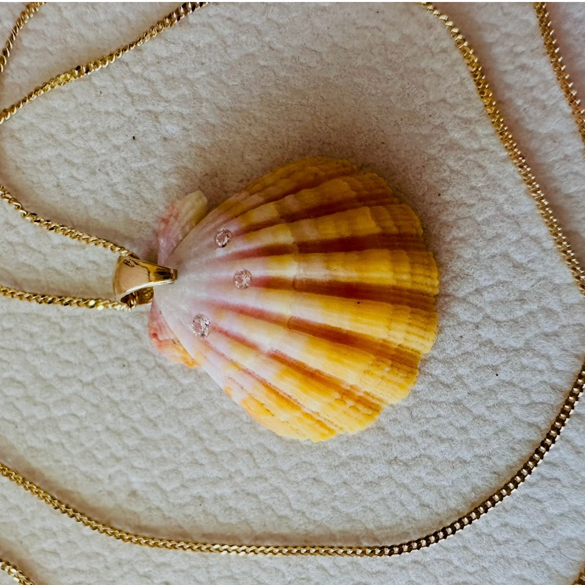 Sunrise Shell & diamonds constallation - flat venetian chain-